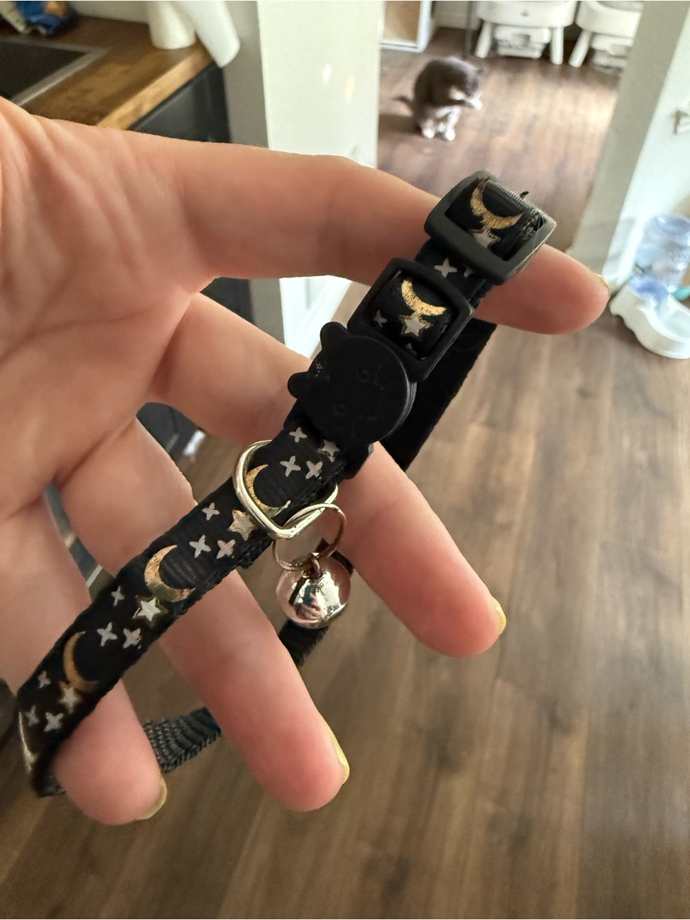 Black Cat Collar with Gold Moon & Star Print snap off new